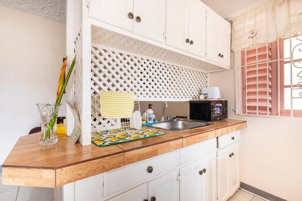 Shaw Park Gem Apt 12A Ocho Rios Exterior photo