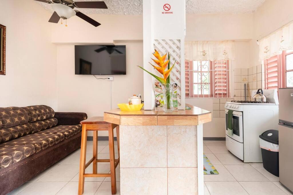 Shaw Park Gem Apt 12A Ocho Rios Exterior photo
